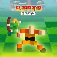 Flipping Master